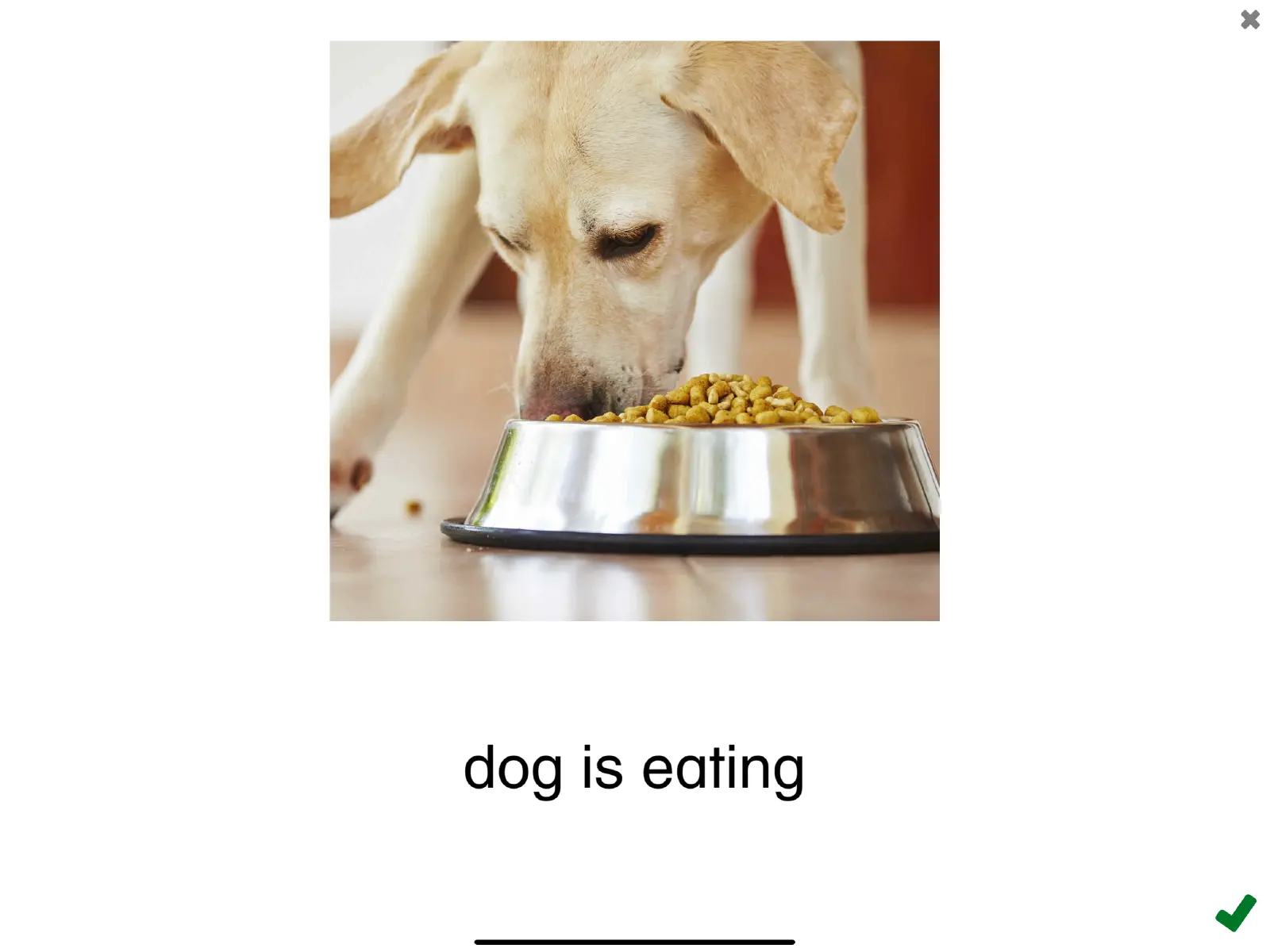 Screenshot of the See and Learn Phrases 1 app showing the phrase 'Dog is eating'