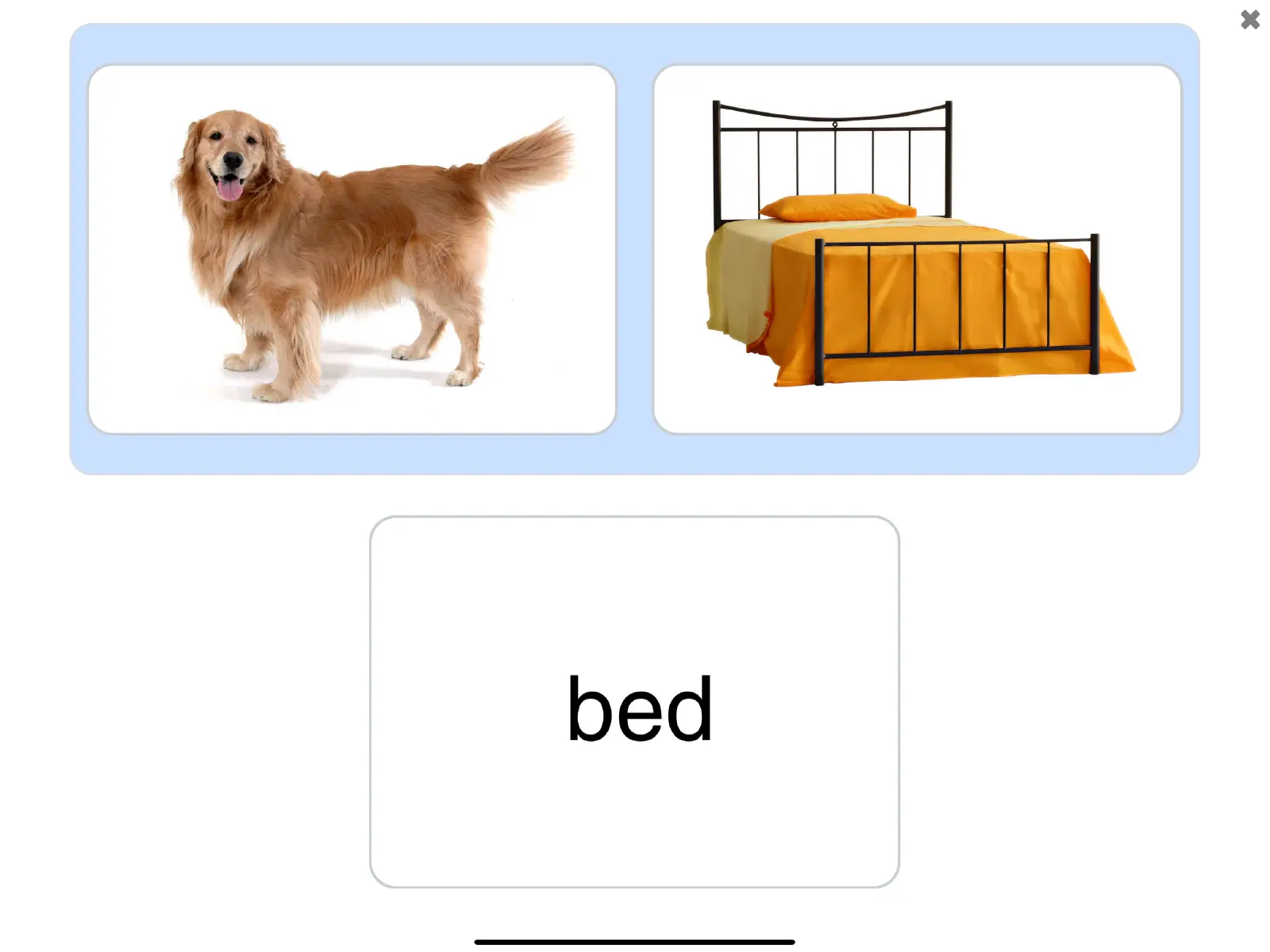 Screenshot of the See and Learn Phrases 1 app showing the images of 'dog' and 'bed'