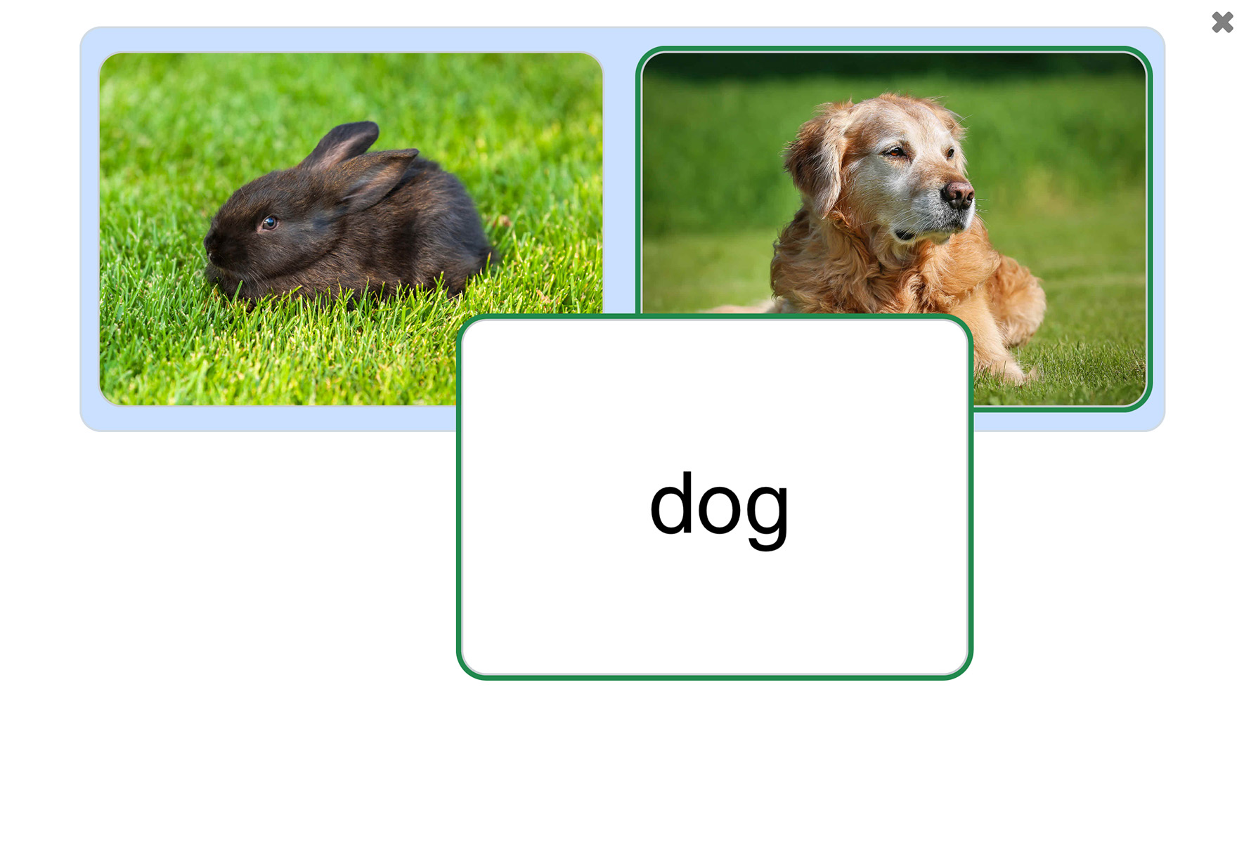 Screenshot of an understanding sight words activity in the See and Learn Phrases 3 app