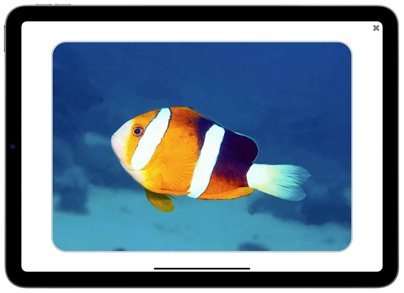 Screenshot of a matching activity in the See and Learn Vocabulary 1 app