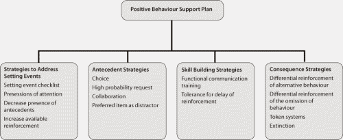 Figure 1: Components of a Positive Behaviour Support Plan with example interventions.