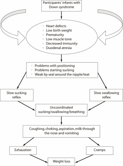 Figure 2. Cascading effect of feeding problems in the participants' infants